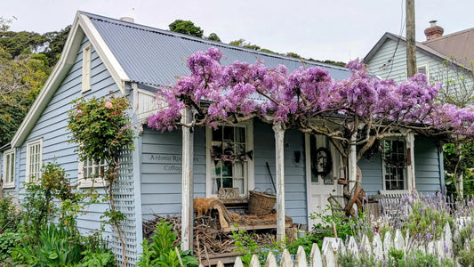 Letzte-Woche-Check-Kabel-Licht-Wege-sichern Mein Shop