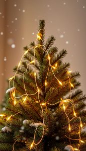 Outdoor Beleuchtung Weihnachten