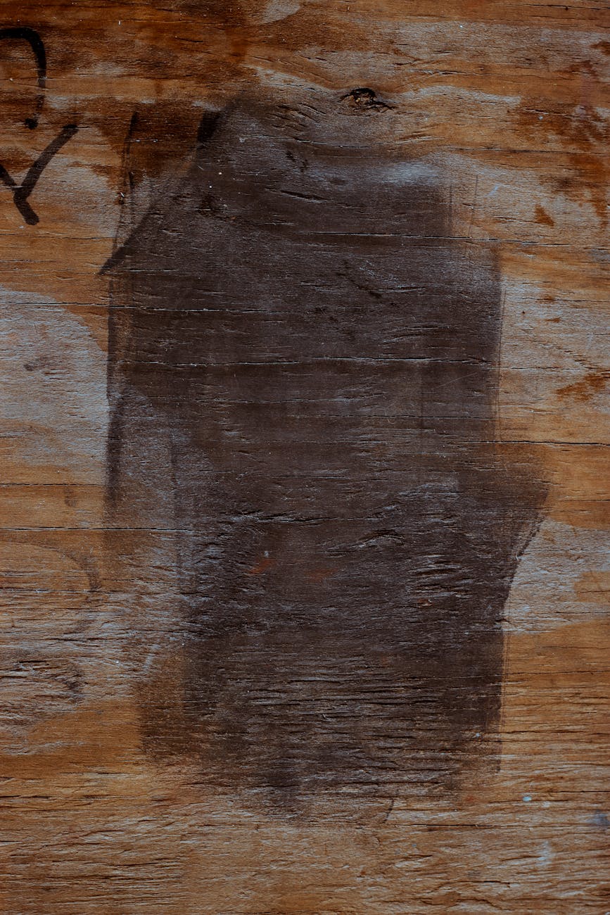 pexels-photo-2273536