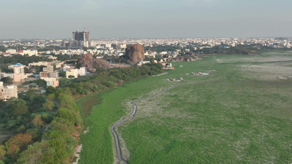 pexels-photo-30073996