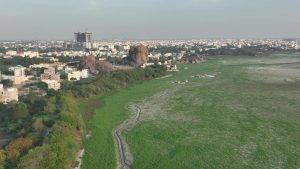 pexels-photo-30073996