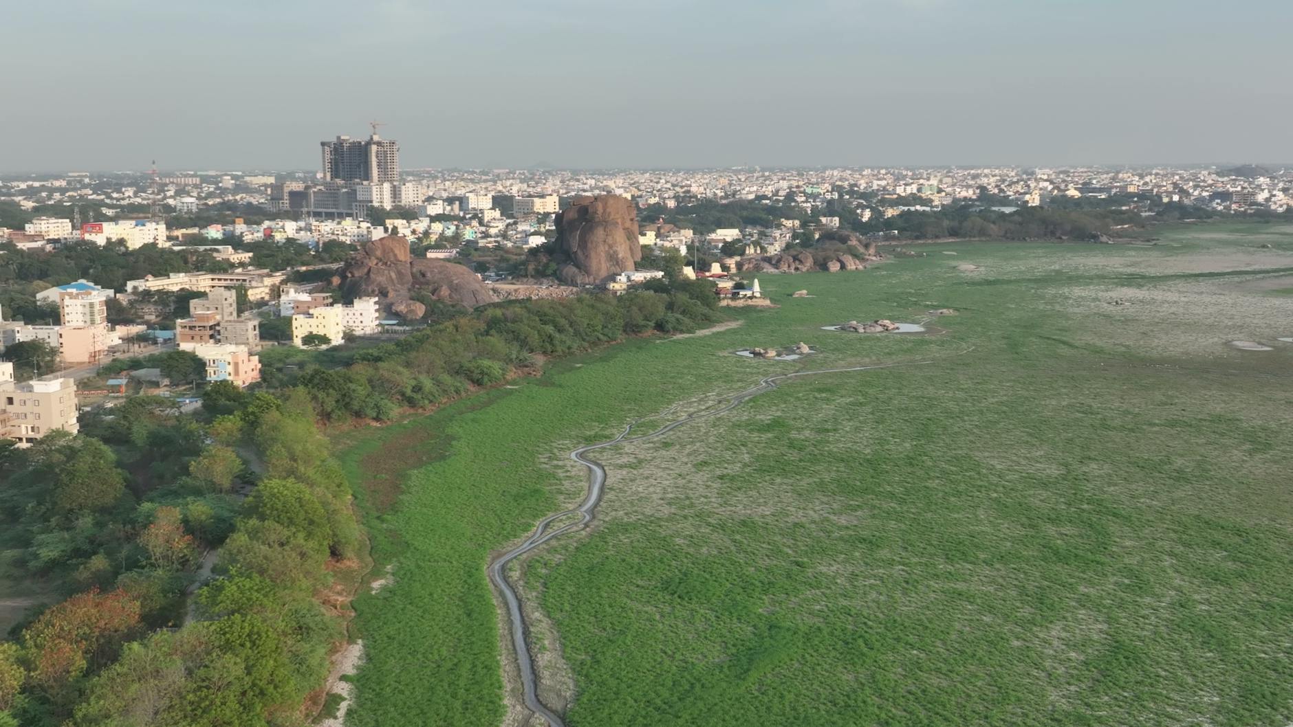 pexels-photo-30073996