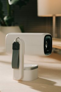 pexels-photo-31726758