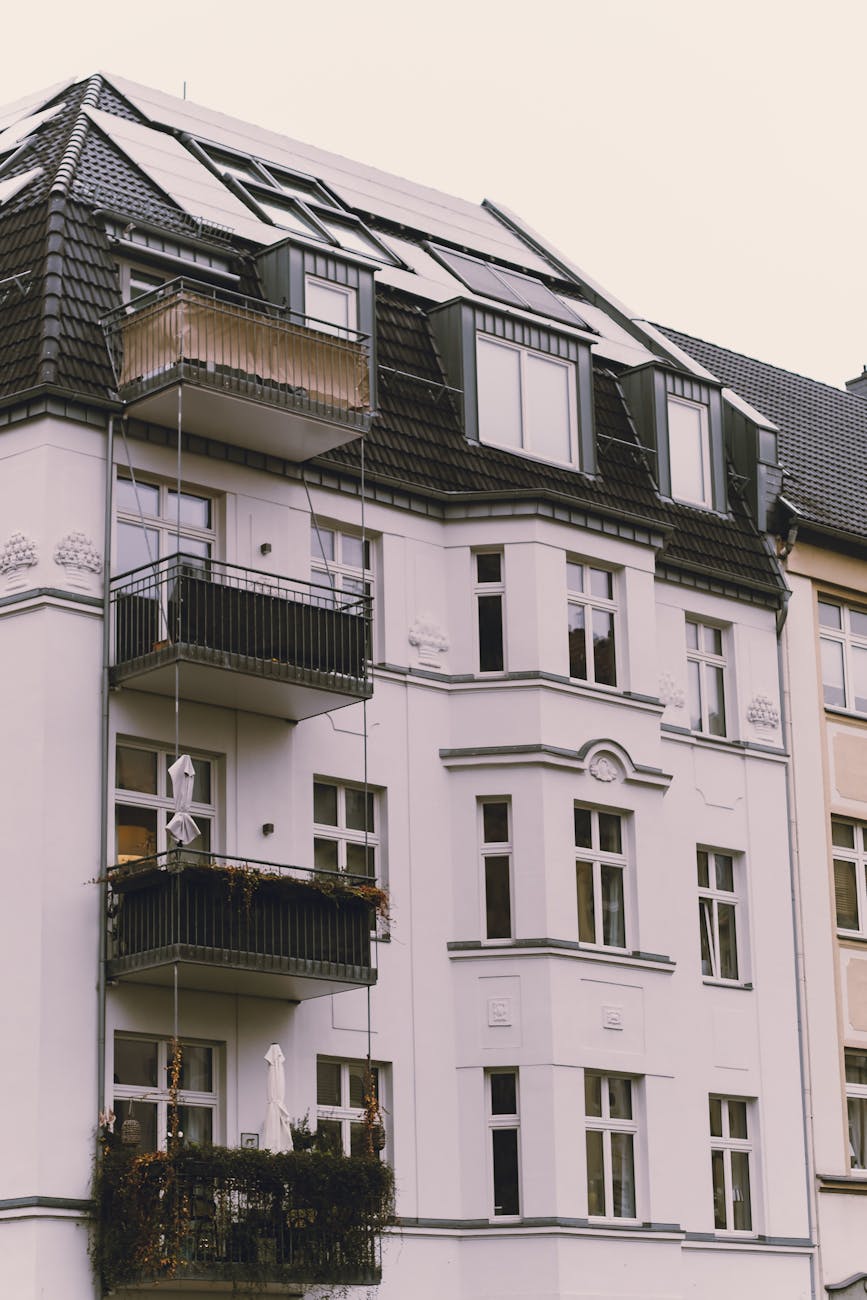 pexels-photo-32478753