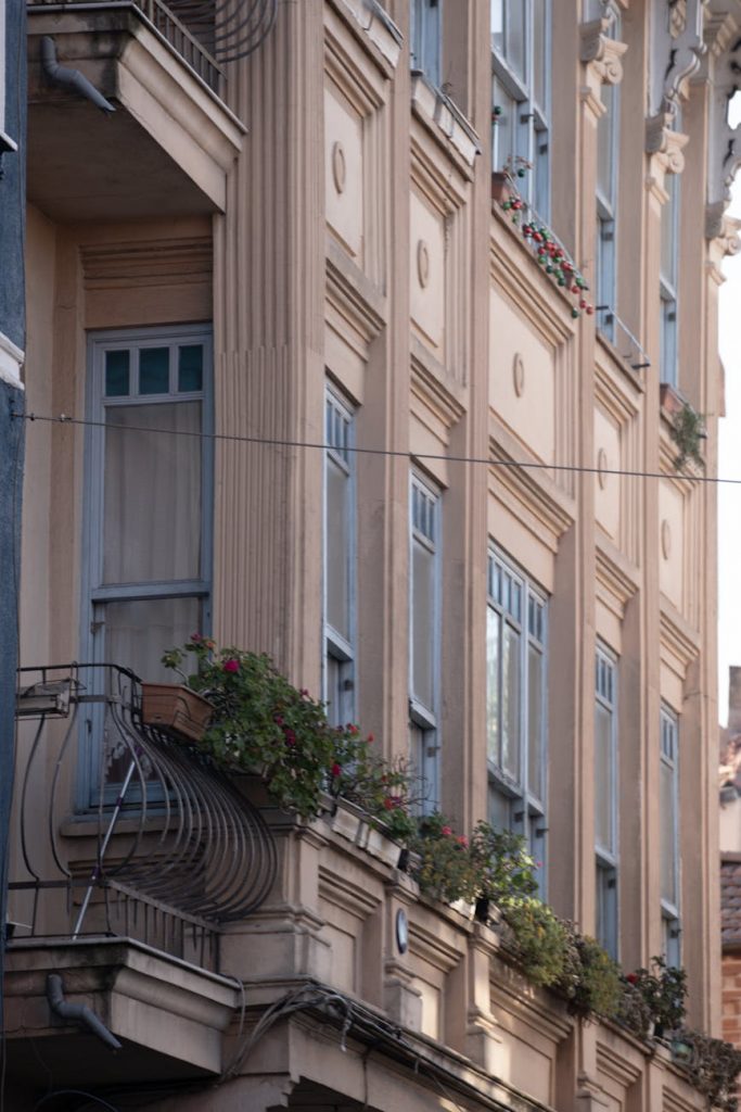 pexels-photo-36499389