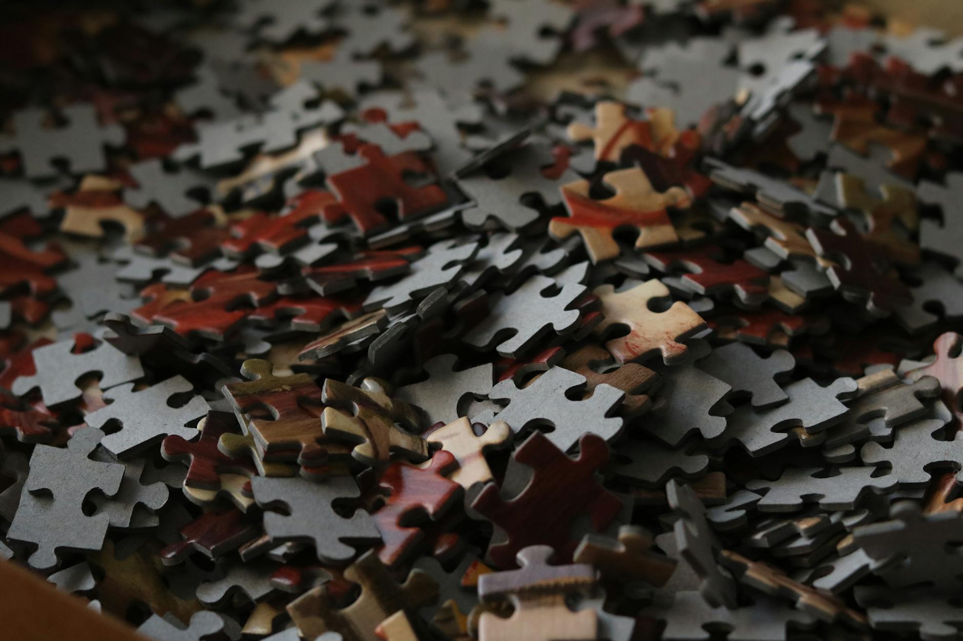 pexels-photo-36661783