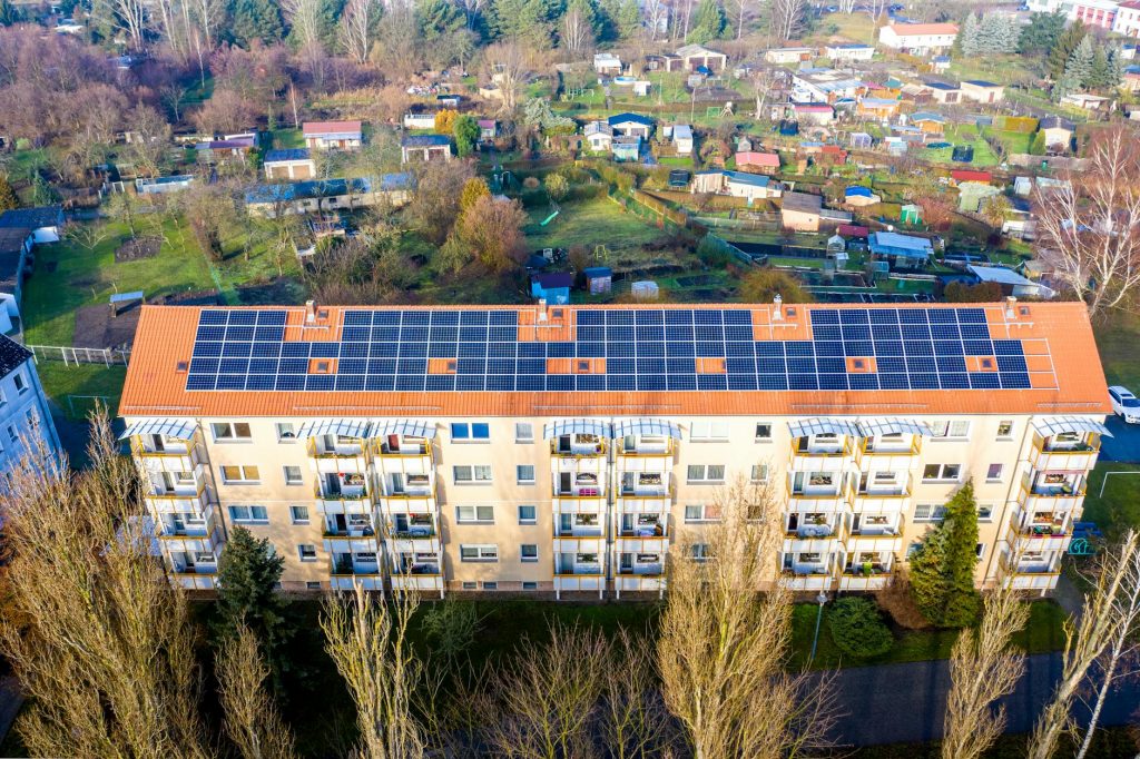 pexels-photo-4230062