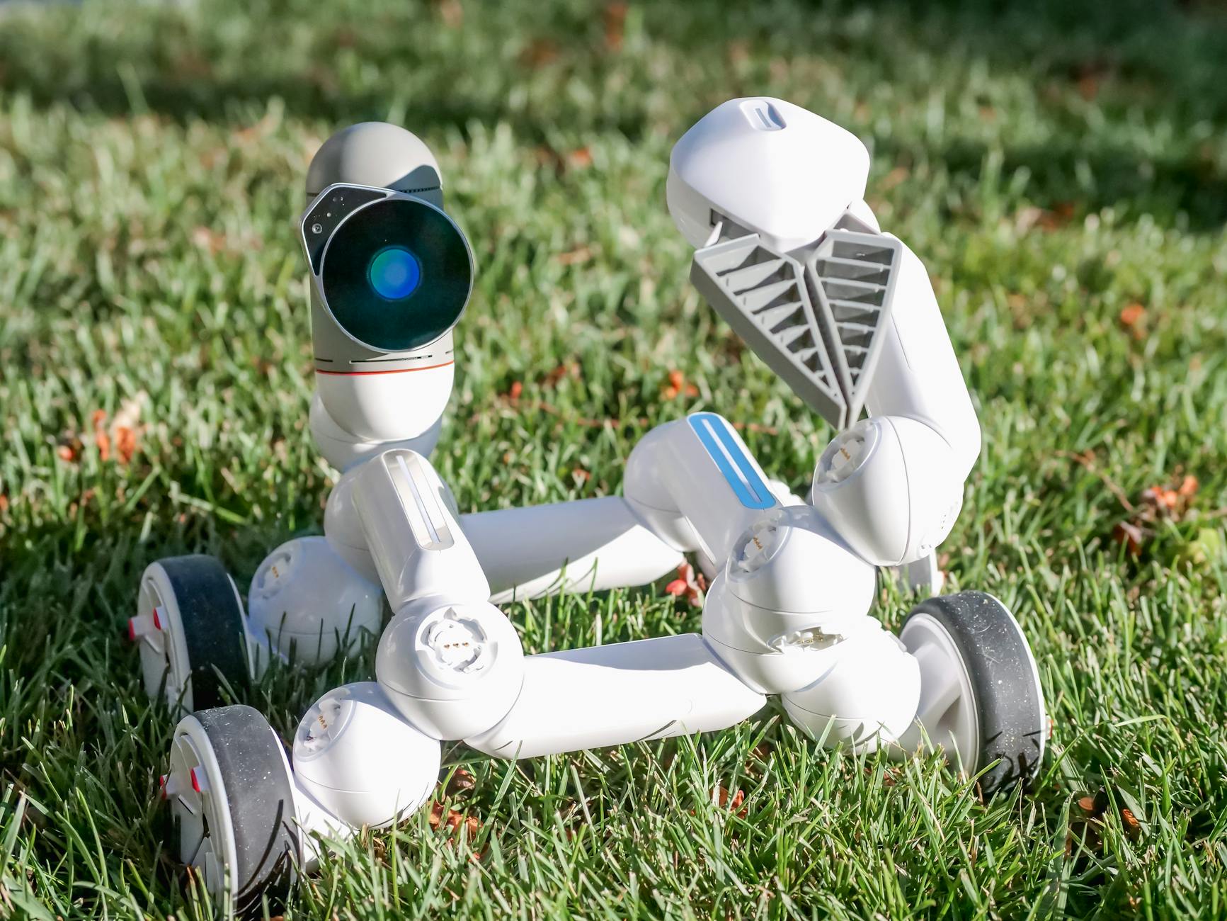 pexels-photo-8982688