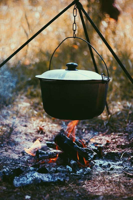 pexels-photo-17966611