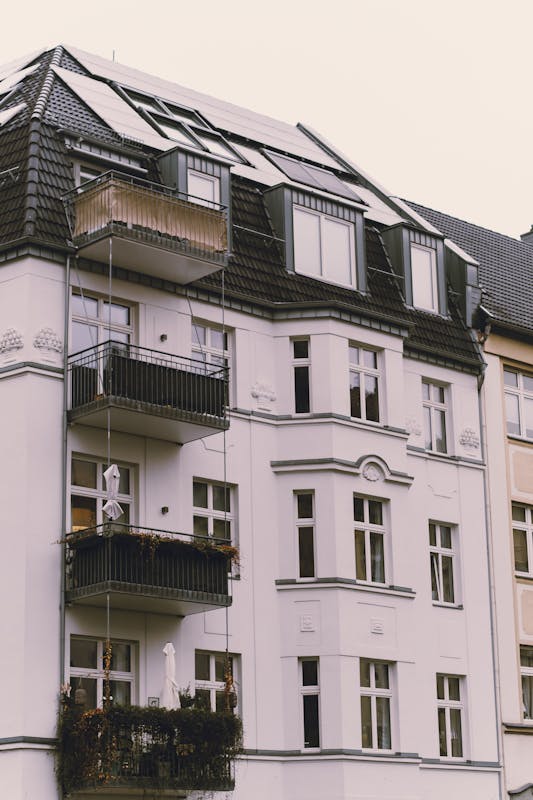 pexels-photo-32478753