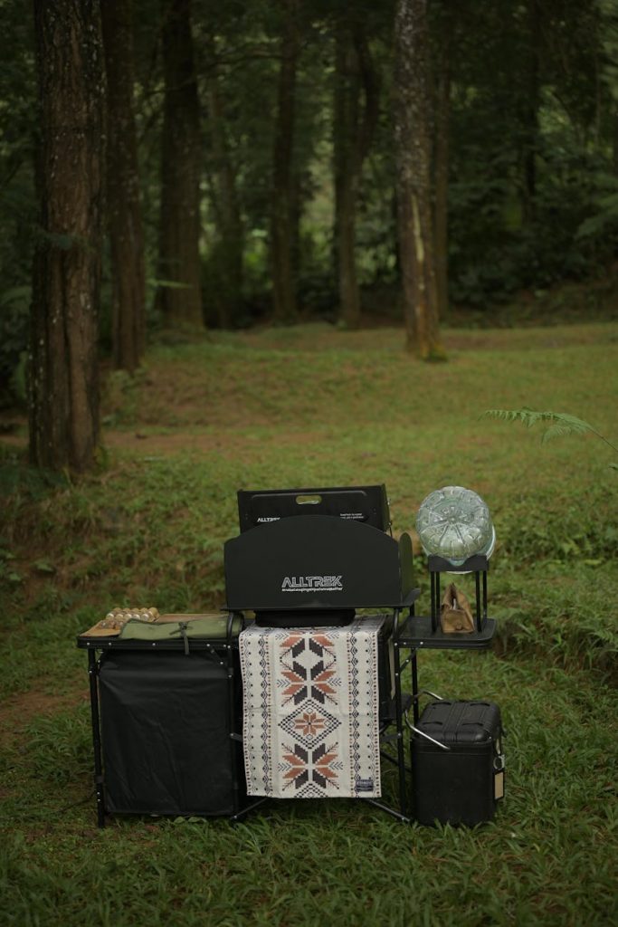 pexels-photo-35749158