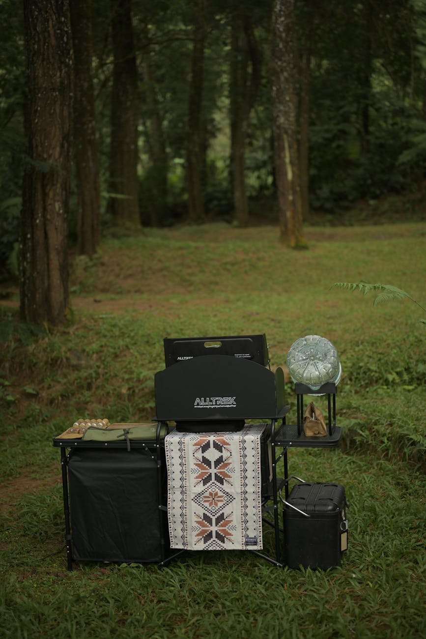 pexels-photo-35749158