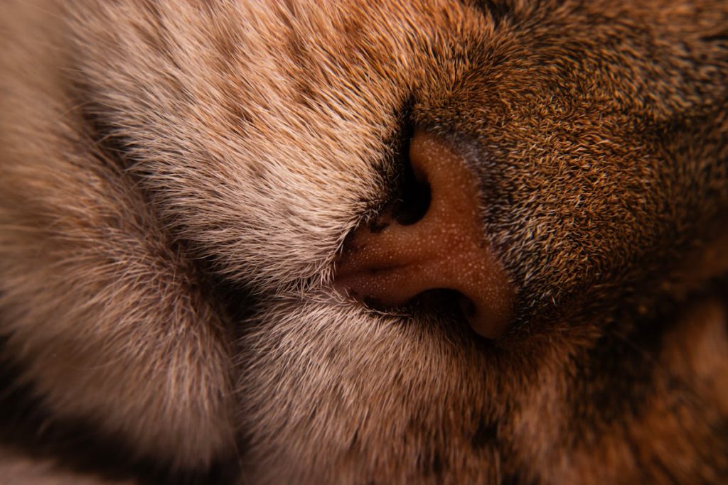 pexels-photo-37143683