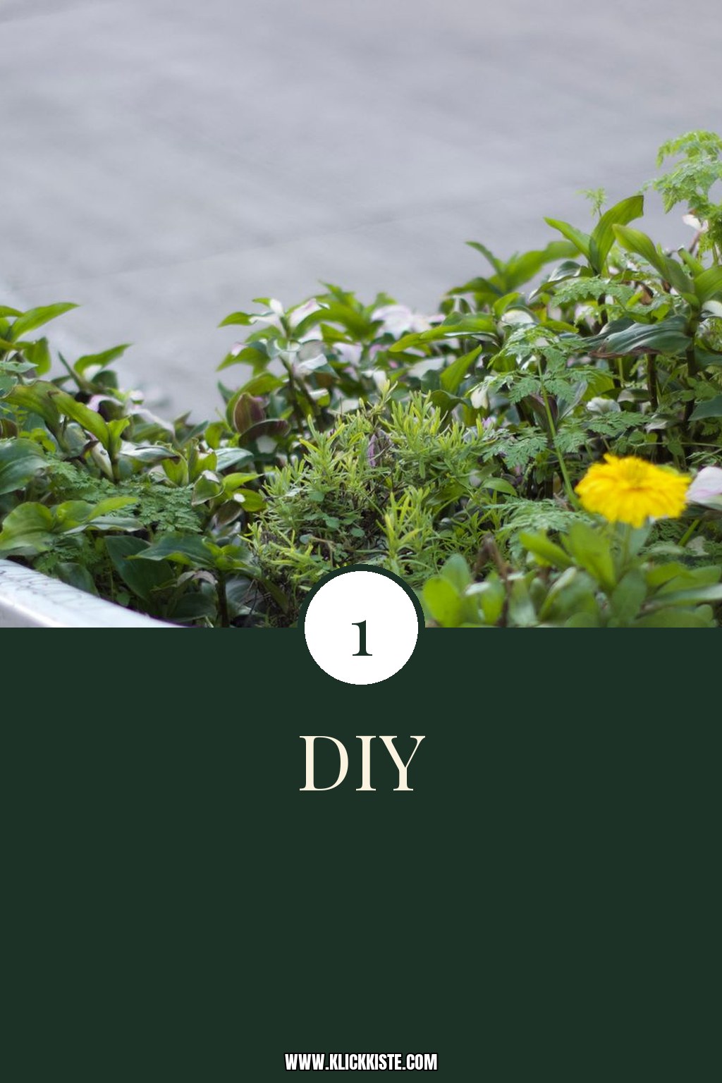 1 DIY-Sommerprojekte für Balkon + Terrasse
