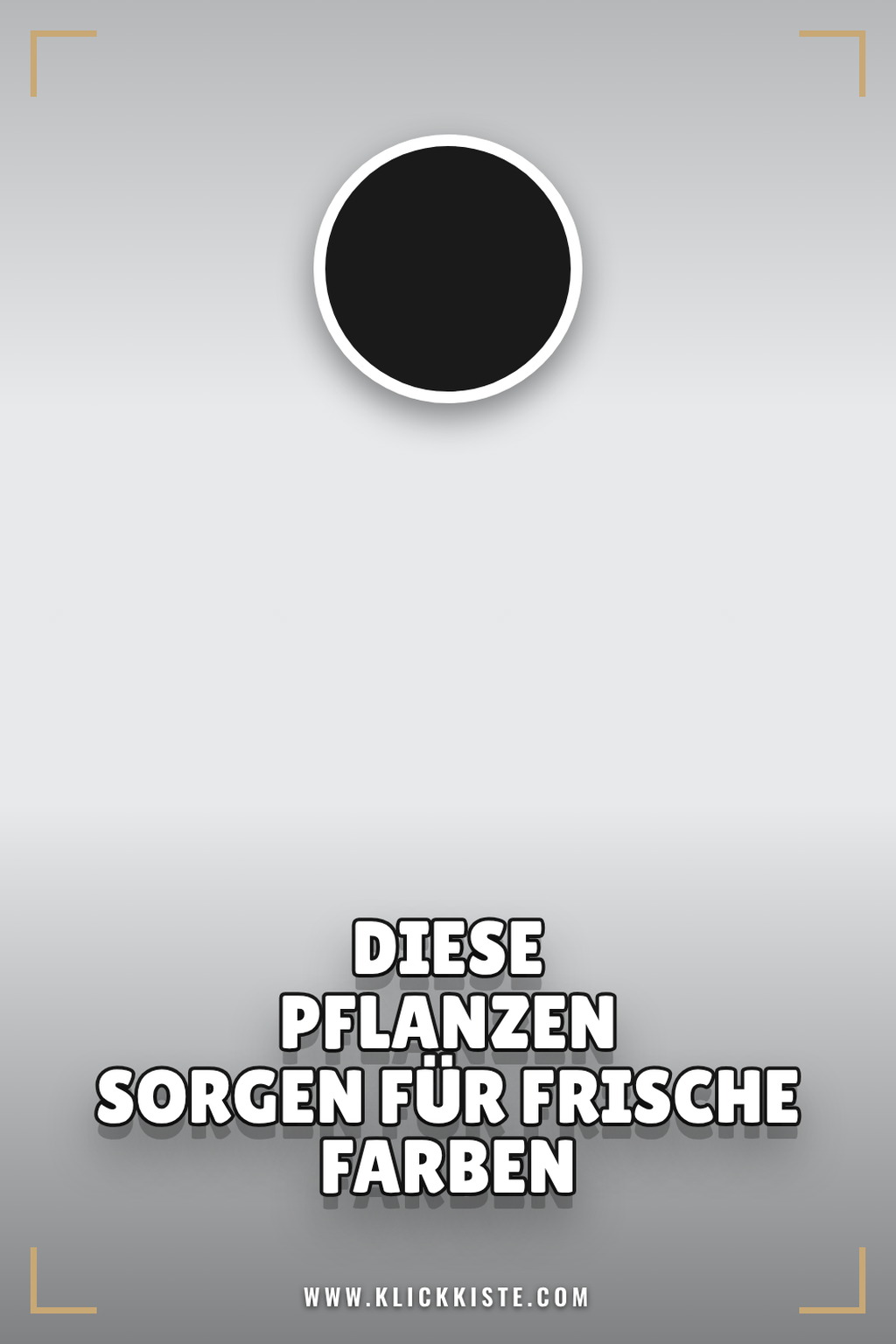 Pinterest Pin Diese Pflanzen sorgen für frische Farben