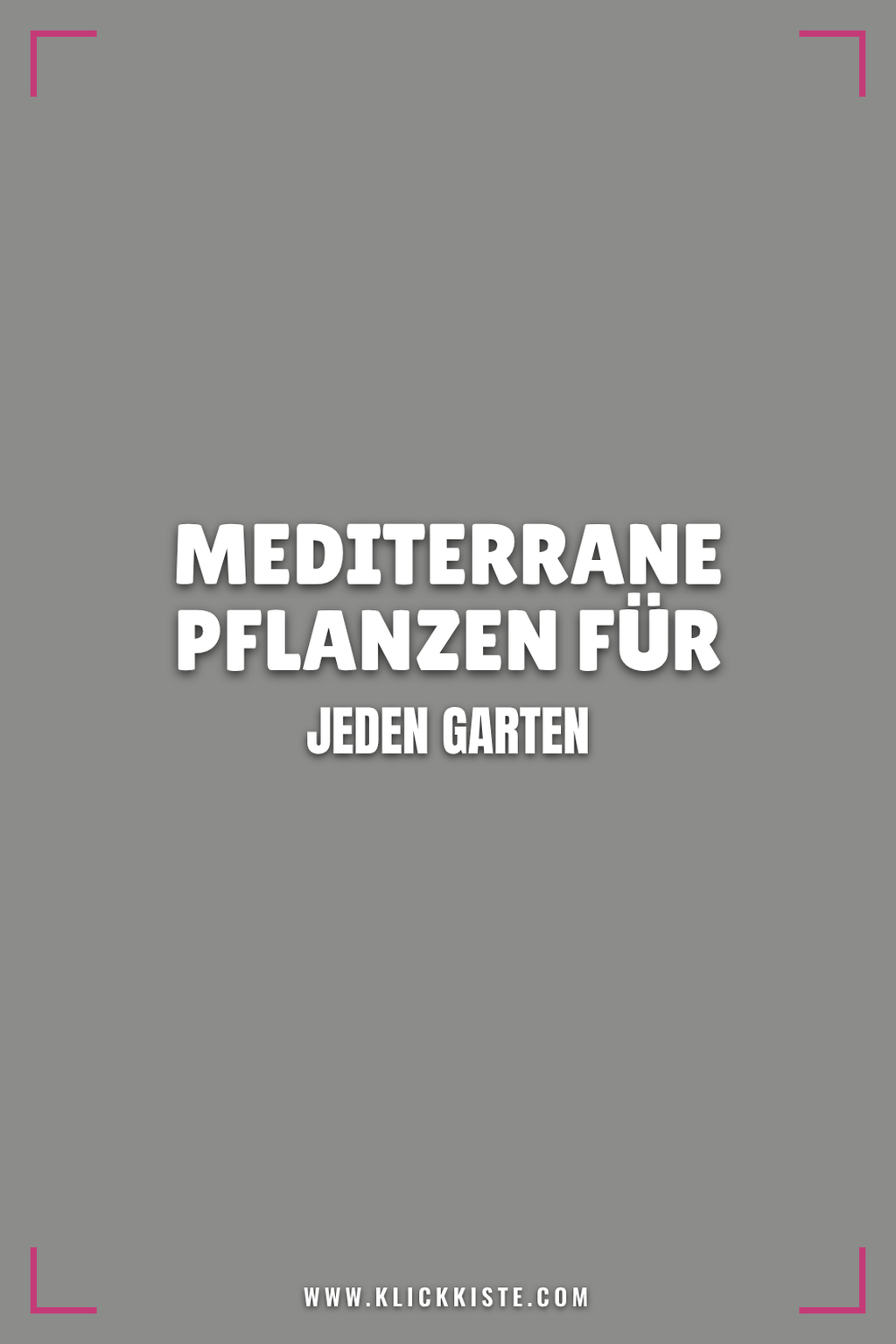 Pinterest Pin Mediterrane Pflanzen für jeden Garten