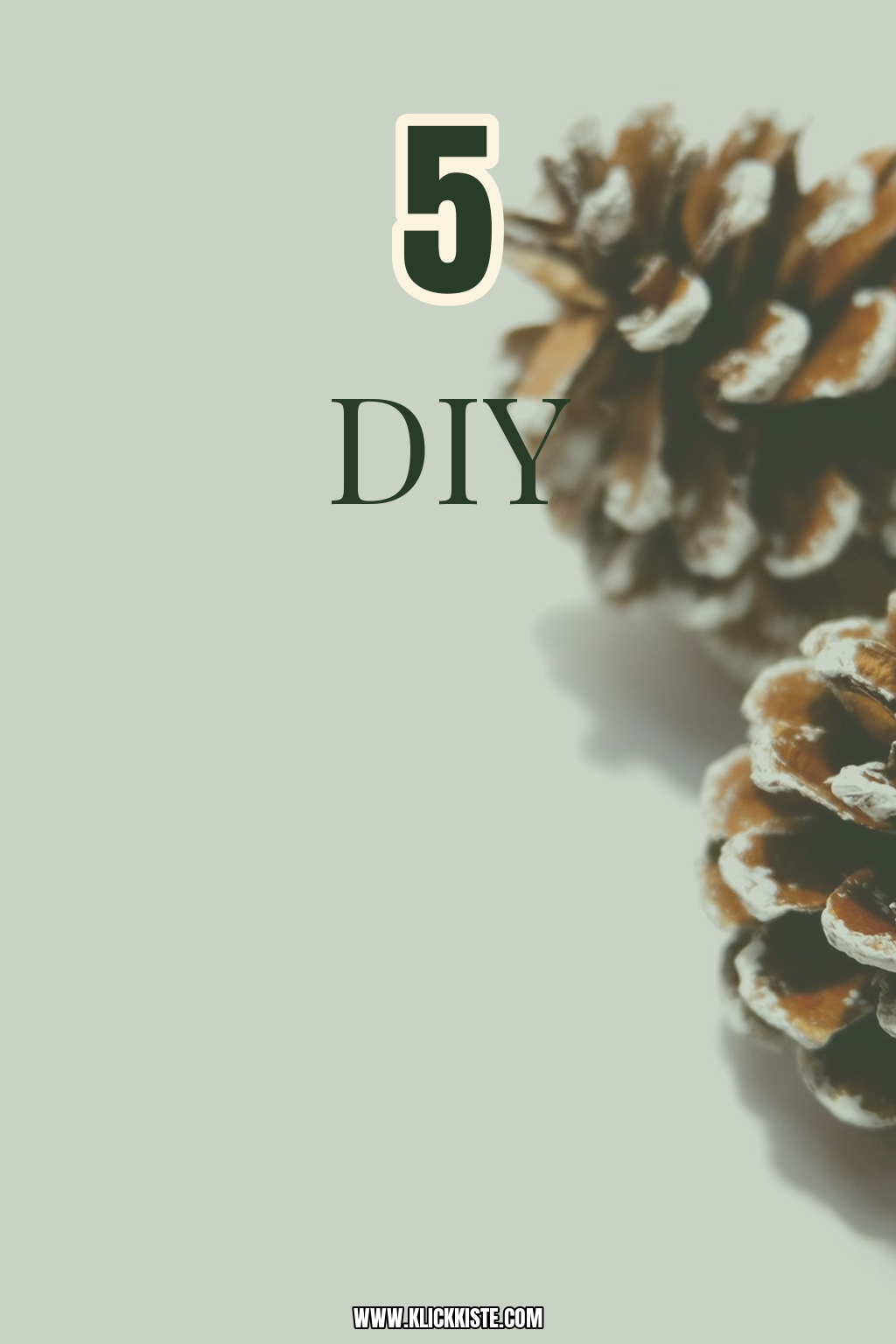 5 DIY-Winterdeko-Ideen aus Naturmaterial — mit Anleitung