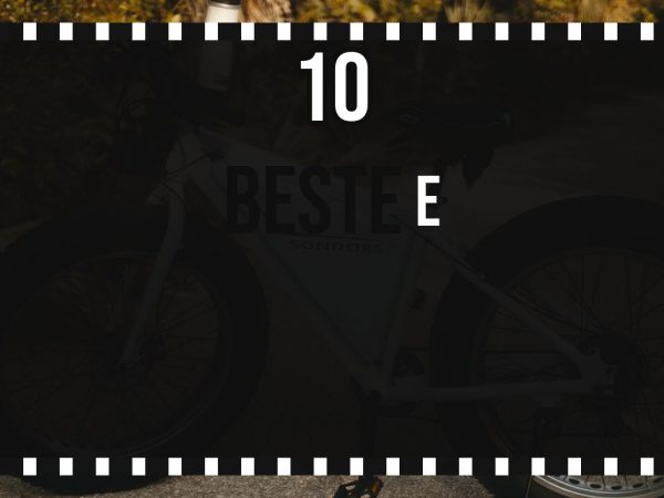 Beste E-Bikes 2026: Top 10 nach Reichweite + Preisklasse