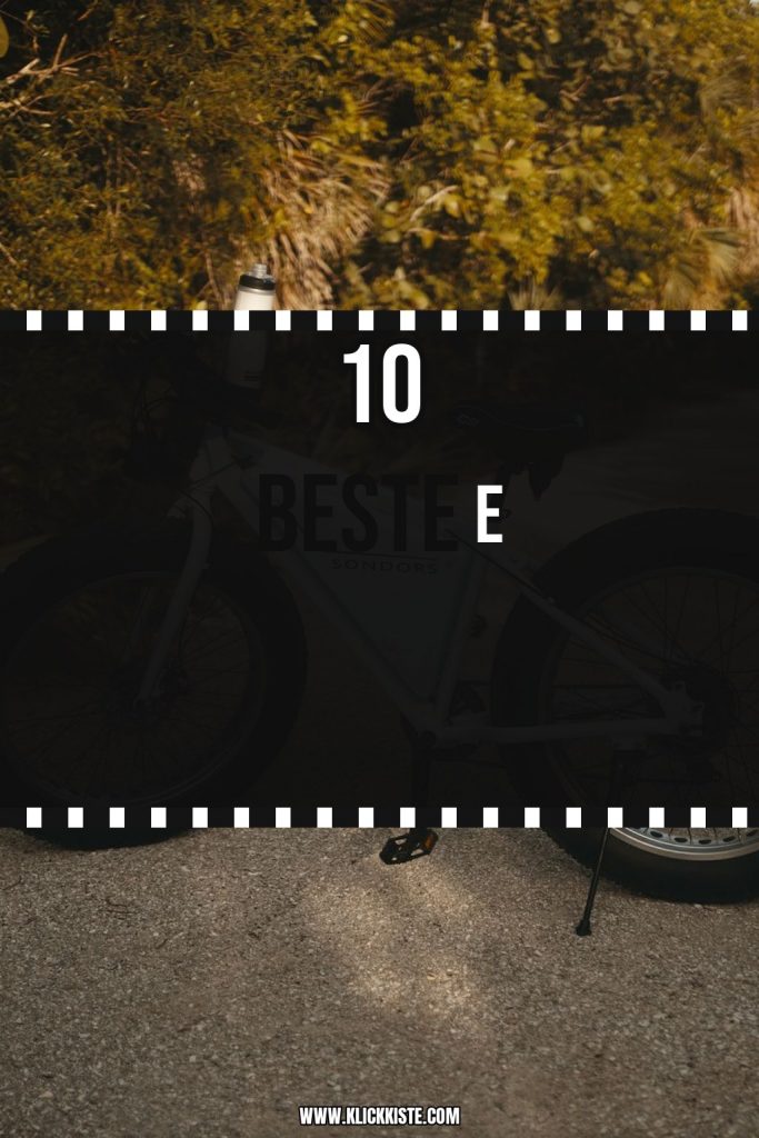 Beste E-Bikes 2026: Top 10 nach Reichweite + Preisklasse