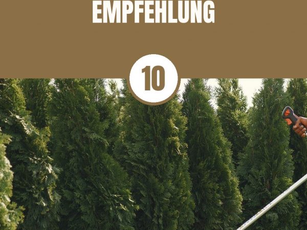 Beste Mähroboter 2026: Top 10 mit Kaufberatung + Empfehlung