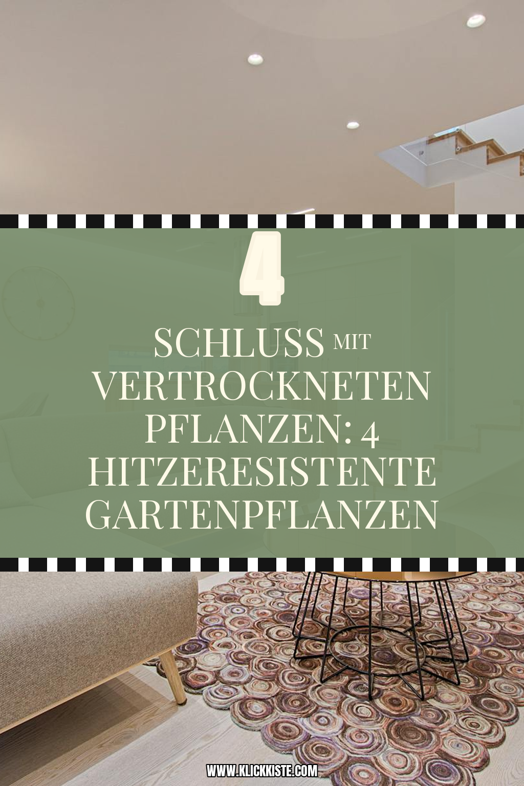 Pinterest Pin Welche Pflanzen sind ideal für heiße Sommer?