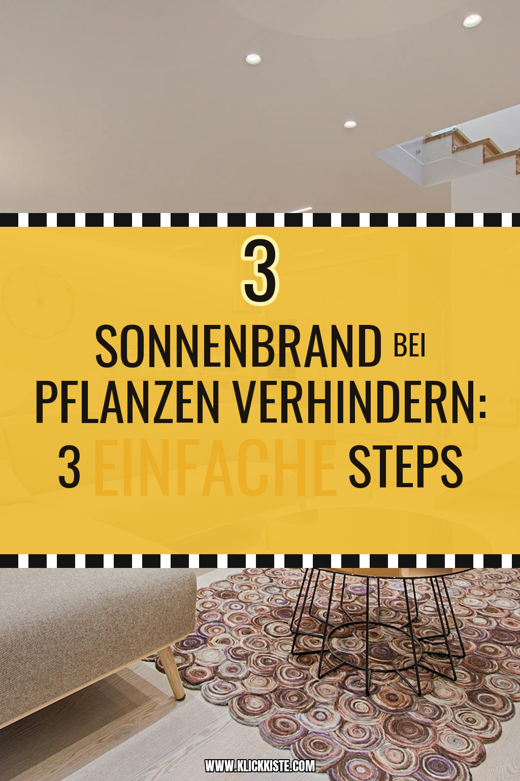 Pinterest Pin Mit diesen Tricks vermeidest du Sonnenbrand bei Pflanzen