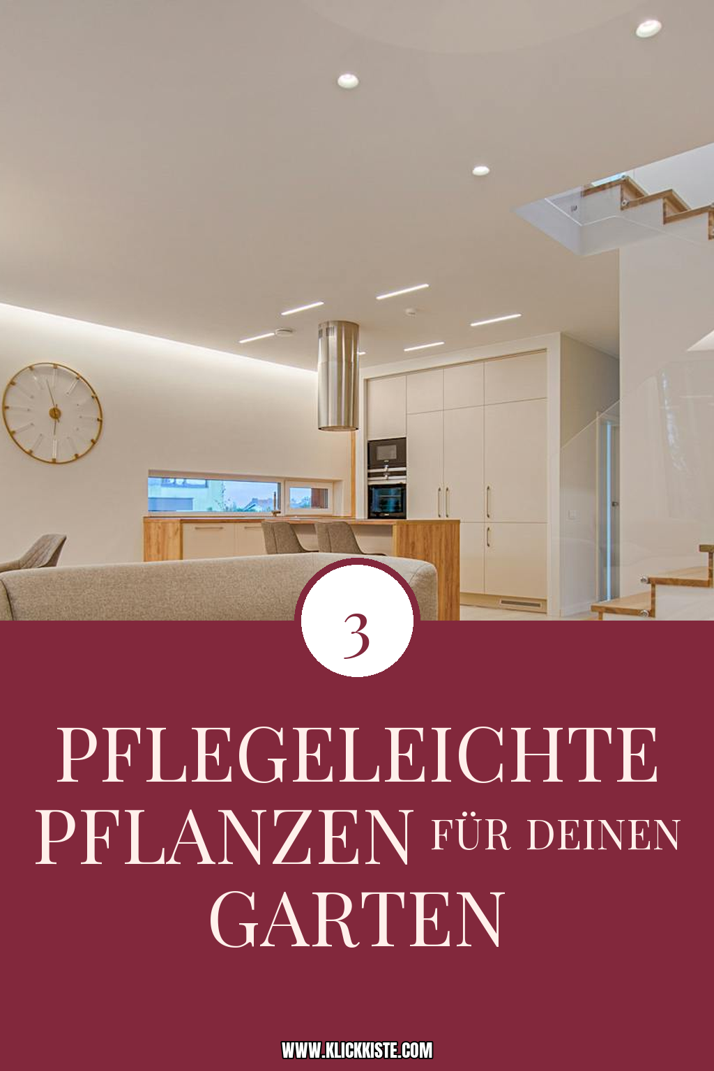Pinterest Pin Diese Pflanzen sind pflegeleicht und robust