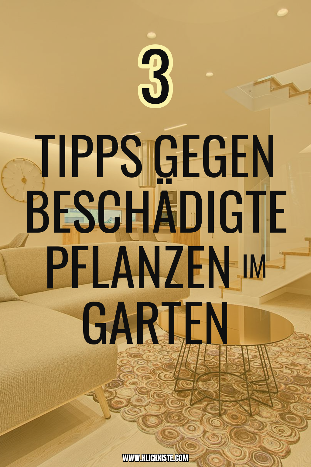 Pinterest Pin Mit diesen Tipps vermeidest du Pflanzenschäden