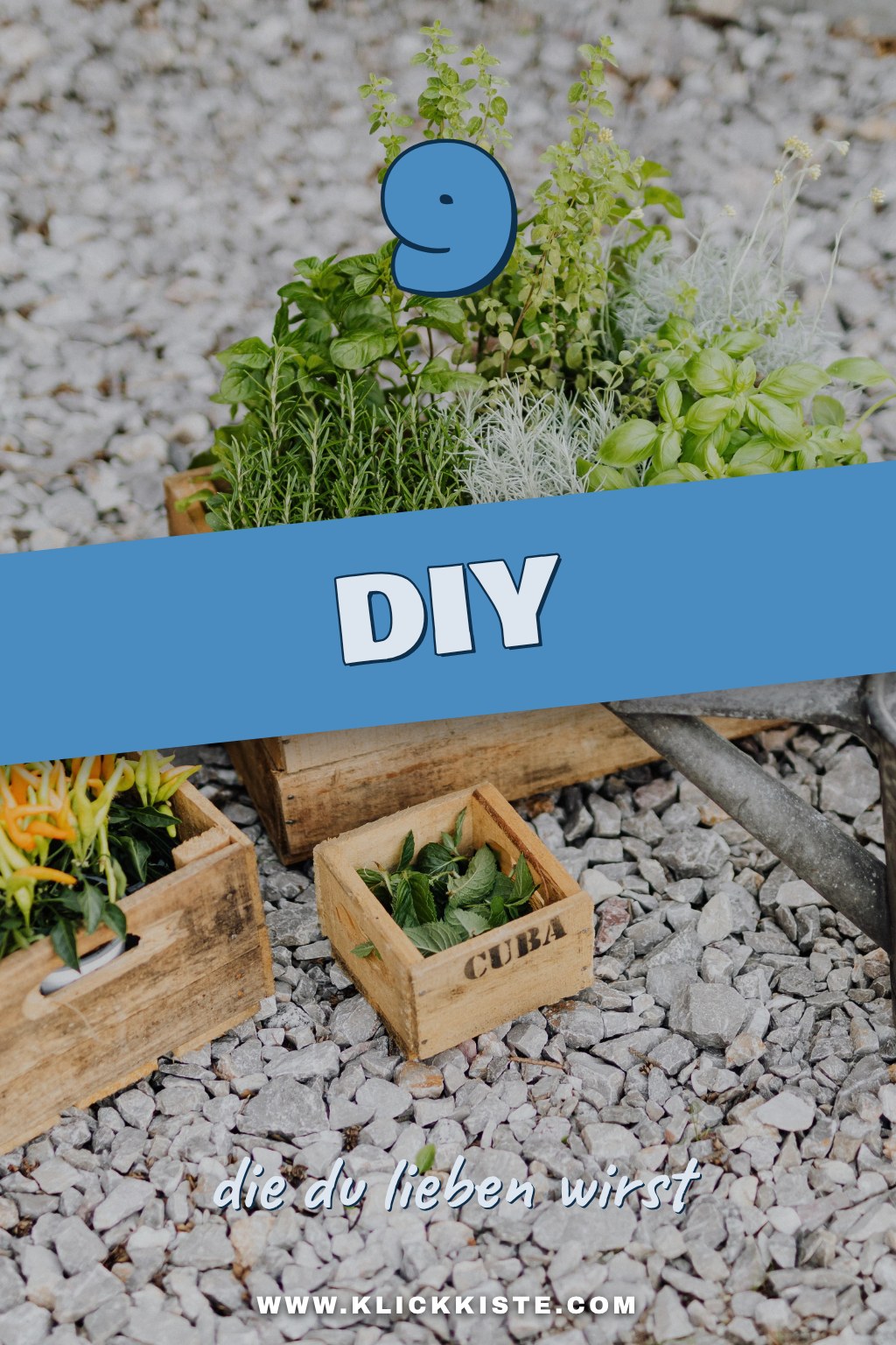 Diese 9 Fehler machen 80 % der Gartenliebhaber