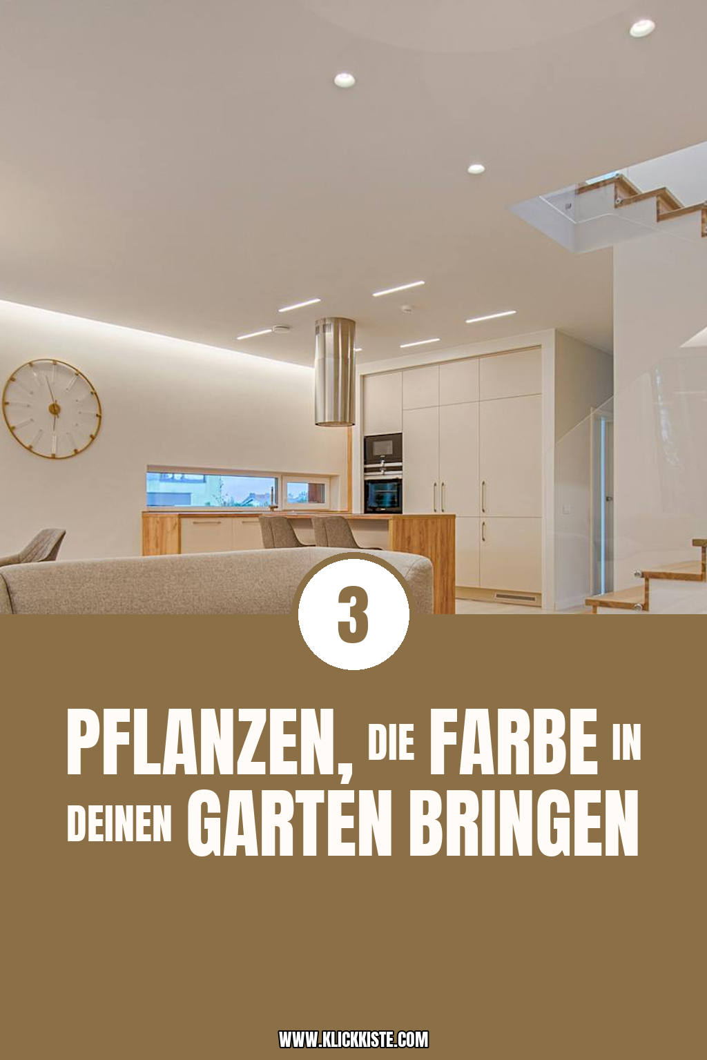 Pinterest Pin Welche Pflanzen bringen Farbe und Struktur?