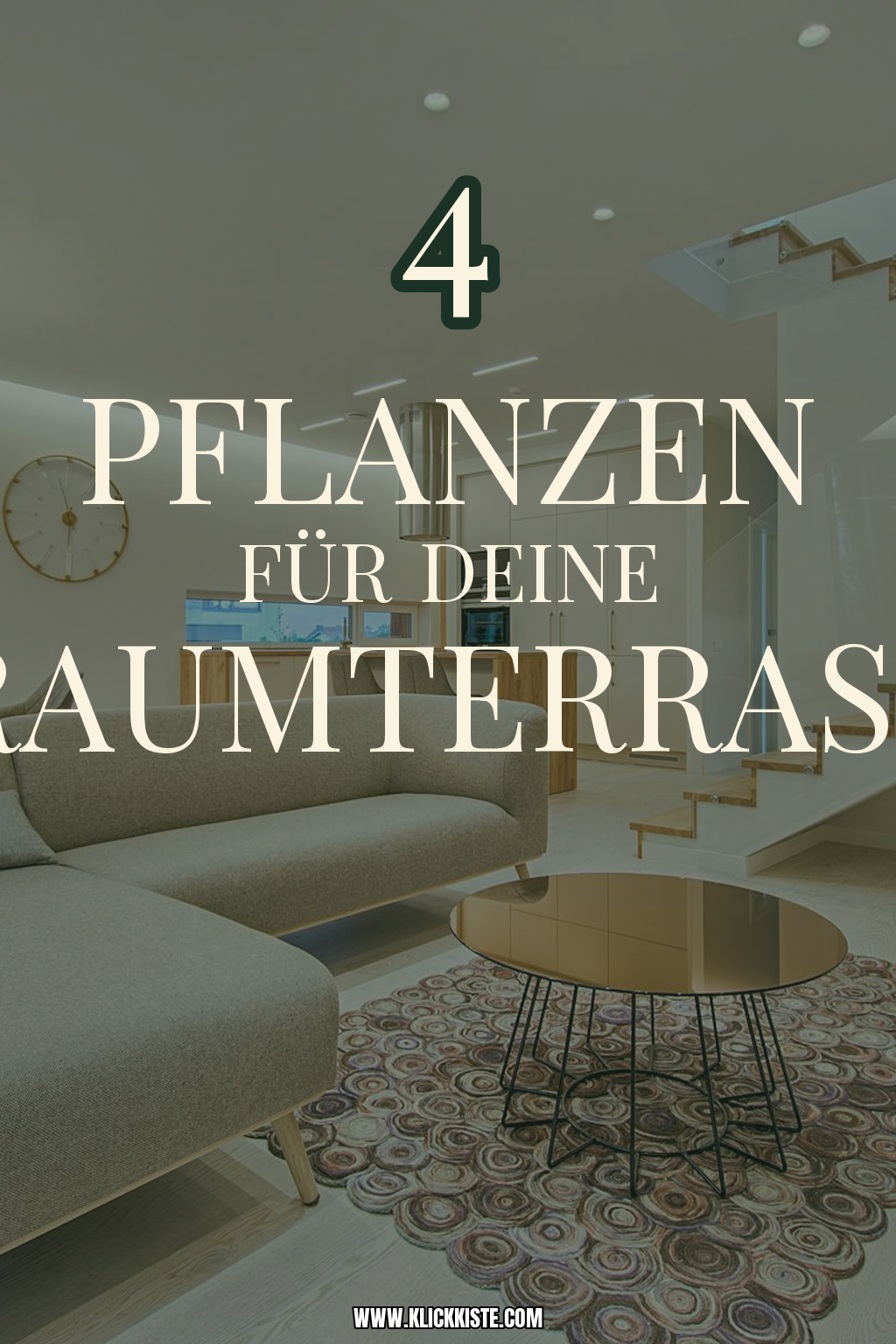 Pinterest Pin Diese Pflanzen setzen Akzente auf deiner Terrasse