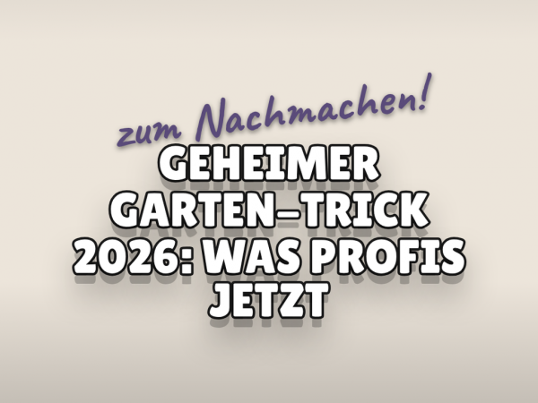 Geheimer Garten-Trick 2026: Was die Profis jetzt anders machen