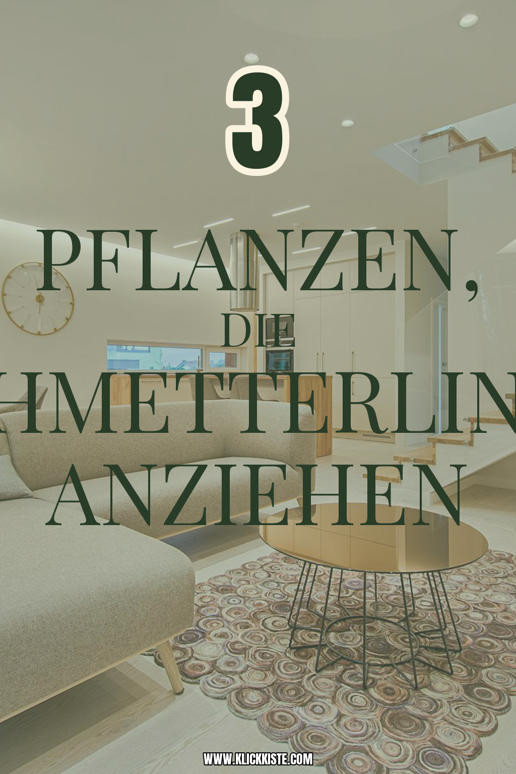 Pinterest Pin Diese Pflanzen locken Schmetterlinge in deinen Garten
