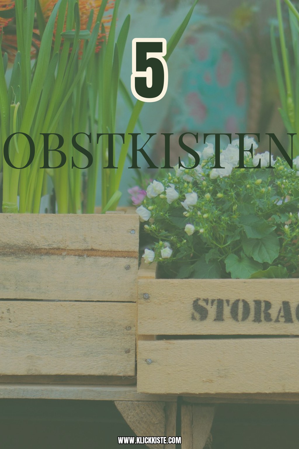 Obstkisten-Upcycling: 5 DIY-Ideen für Zuhause mit Material-Tipps