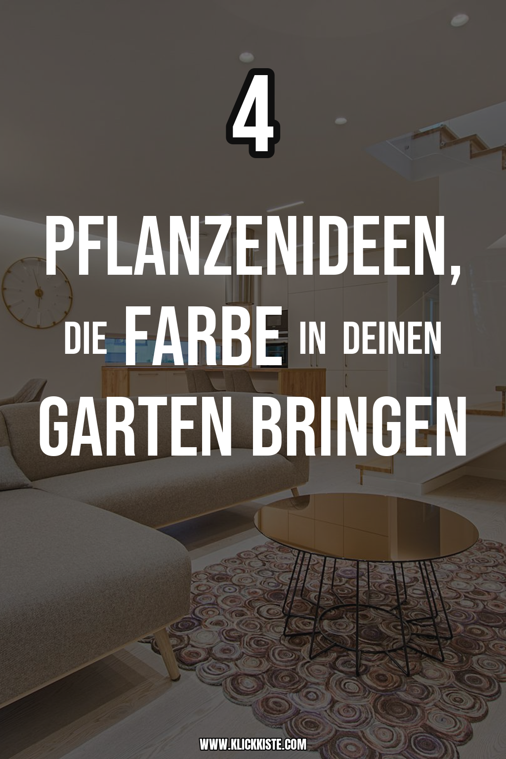 Pinterest Pin Diese 4 Pflanzenideen bringen Farbe in deinen Garten