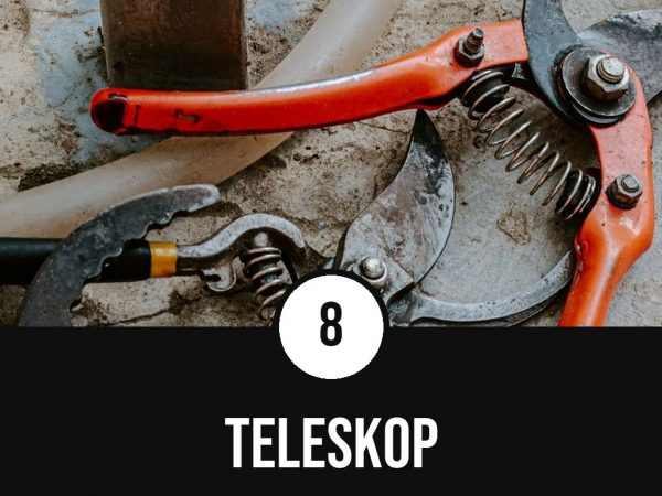 Teleskop-Astscheren Top 8 Empfehlungen 2026
