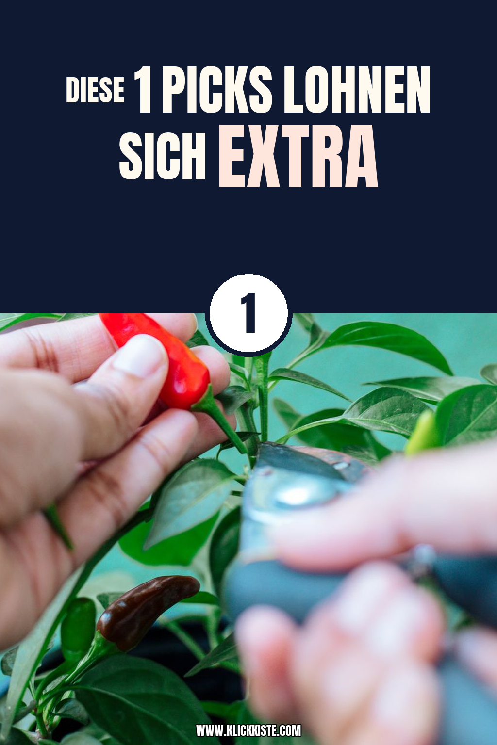 Pinterest Pin Diese 1 Picks lohnen sich extra