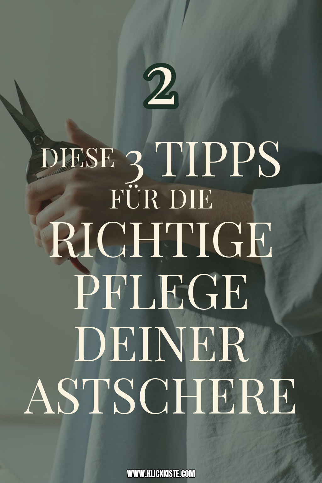 Pinterest Pin Diese 3 Tipps für die richtige Pflege deiner Astschere