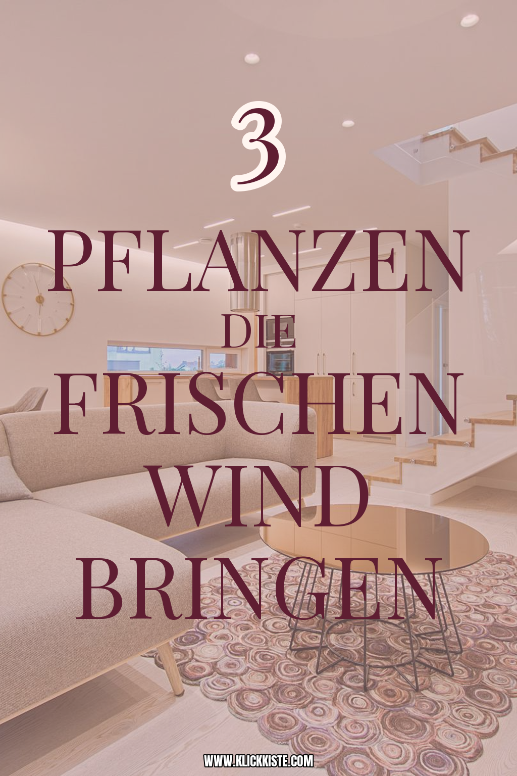 Pinterest Pin Diese Pflanzen bringen Leben in dein Zuhause