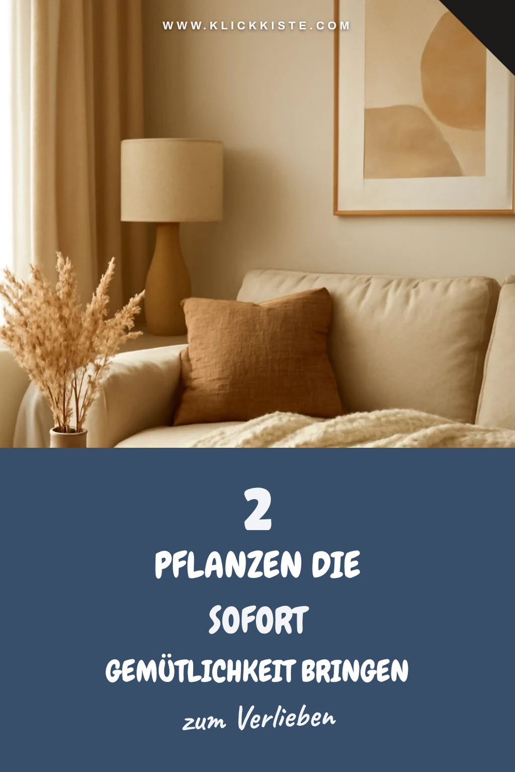 Wie du deinen Raum mit Pflanzen belebst