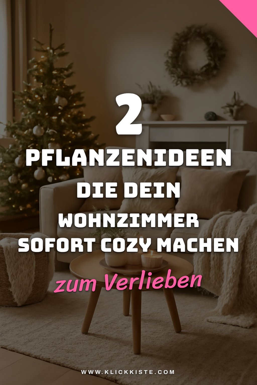 Weihnachtliche Pflanzen für das Wohnzimmer