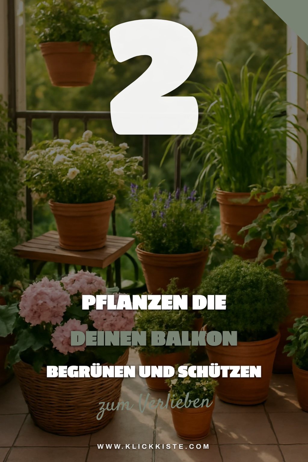 Pflanzen für den perfekten Sichtschutz