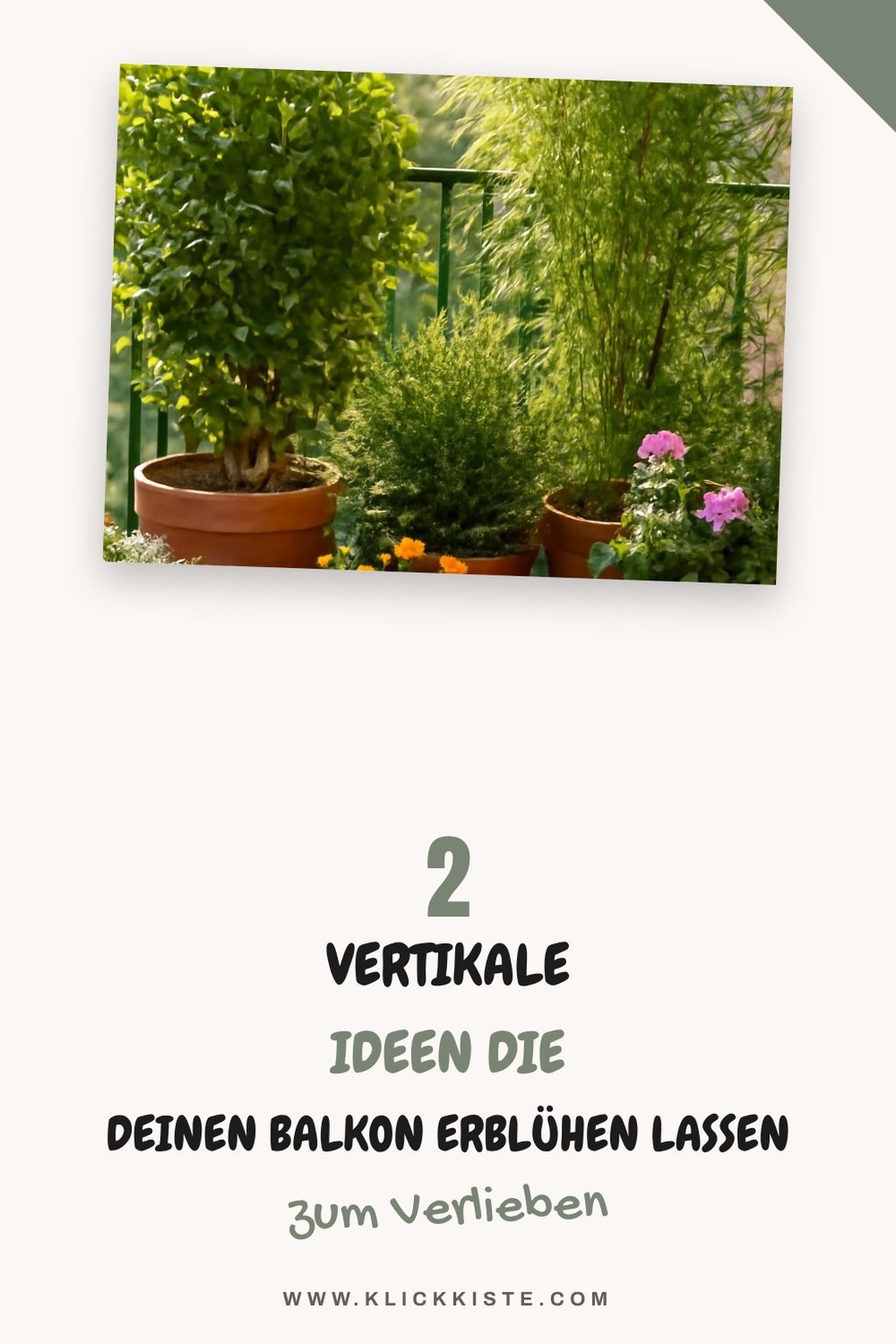 Kreative Ideen für vertikales Gärtnern