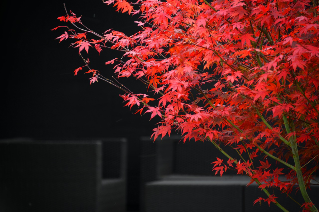 10 Gartendeko Ideen für den Herbst