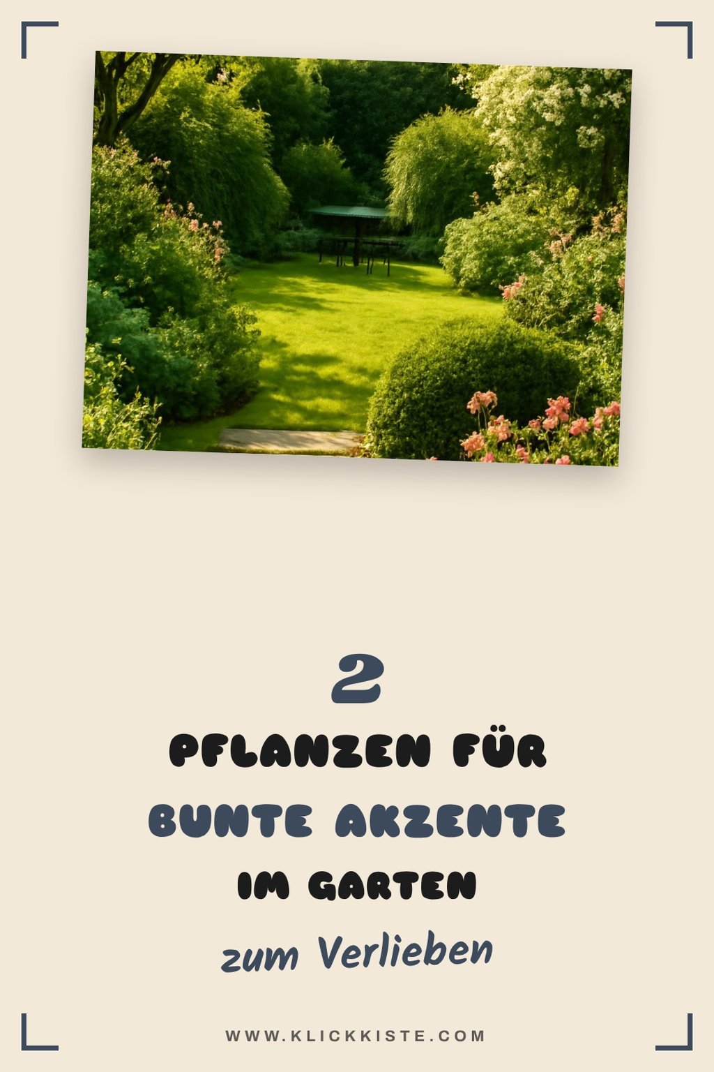 Diese Pflanzen machen deinen Garten bunt