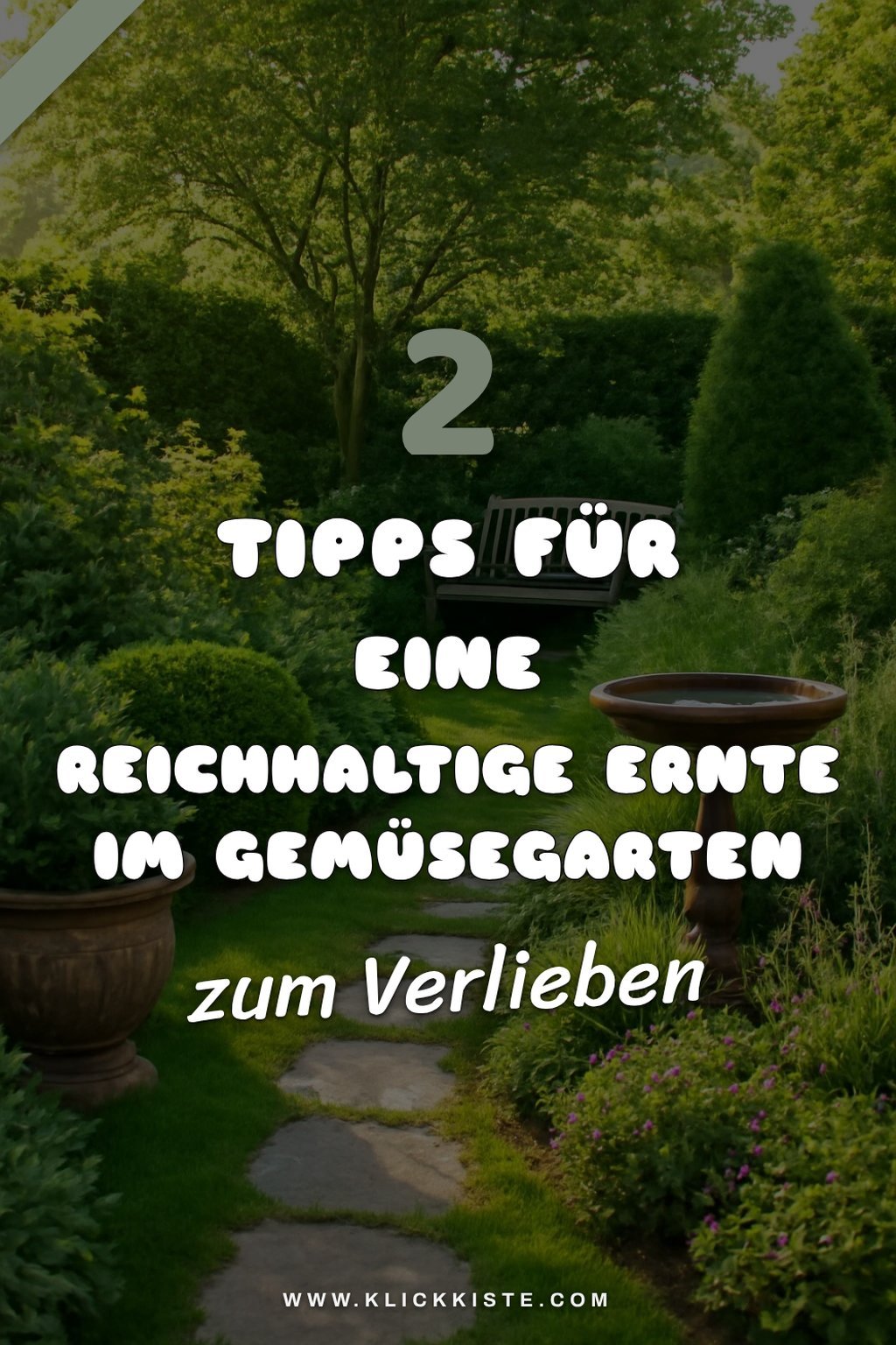 Ernte-Tipps für deinen Gemüsegarten