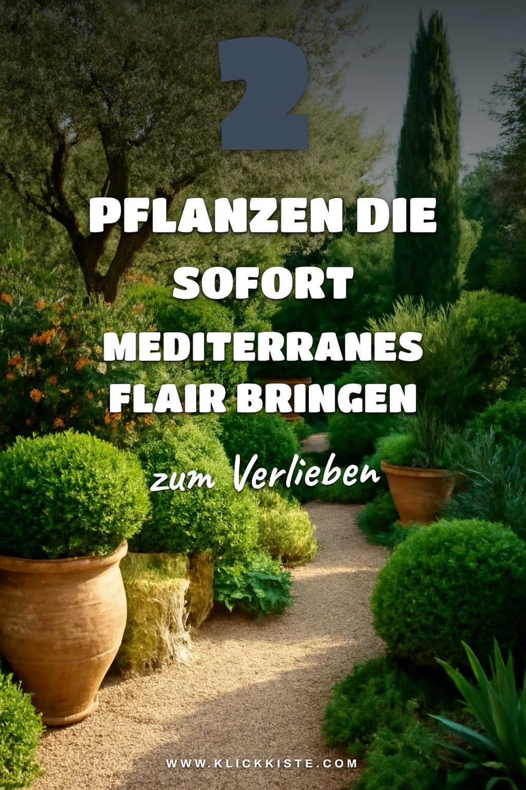 So gestaltest du deinen Garten mit mediterranen Pflanzen