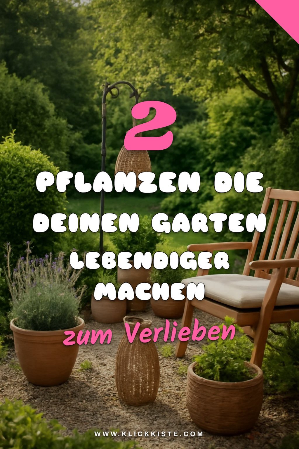 Diese Pflanzen bringen Farbe und Leben