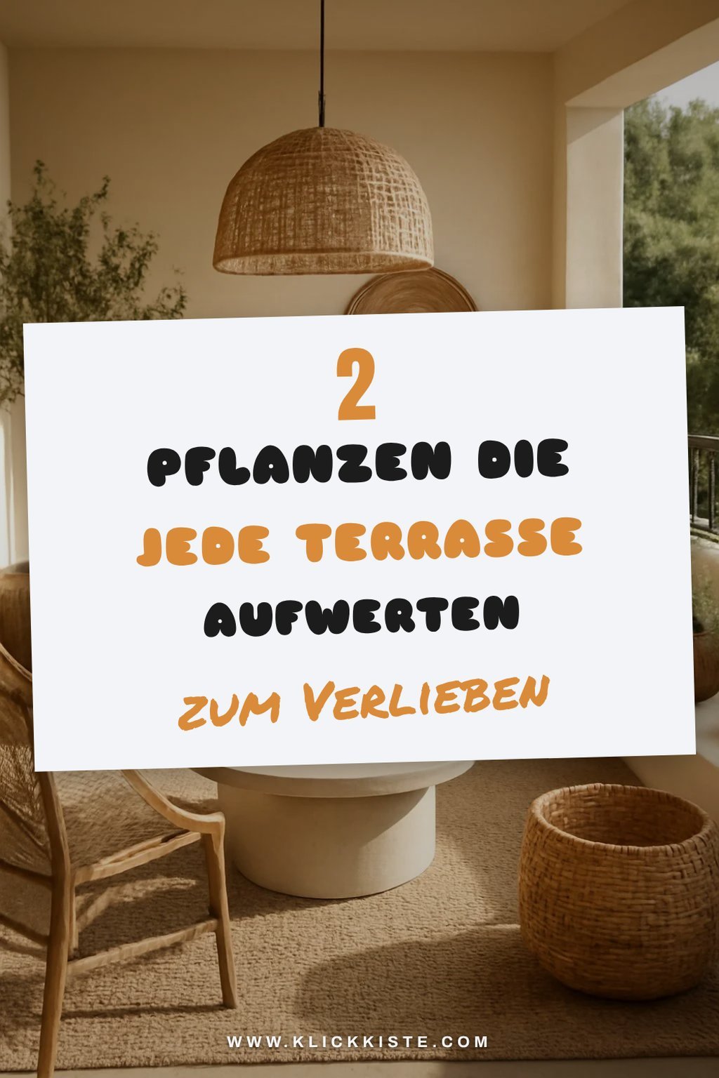Diese Pflanzen bringen Farbe auf deine Terrasse