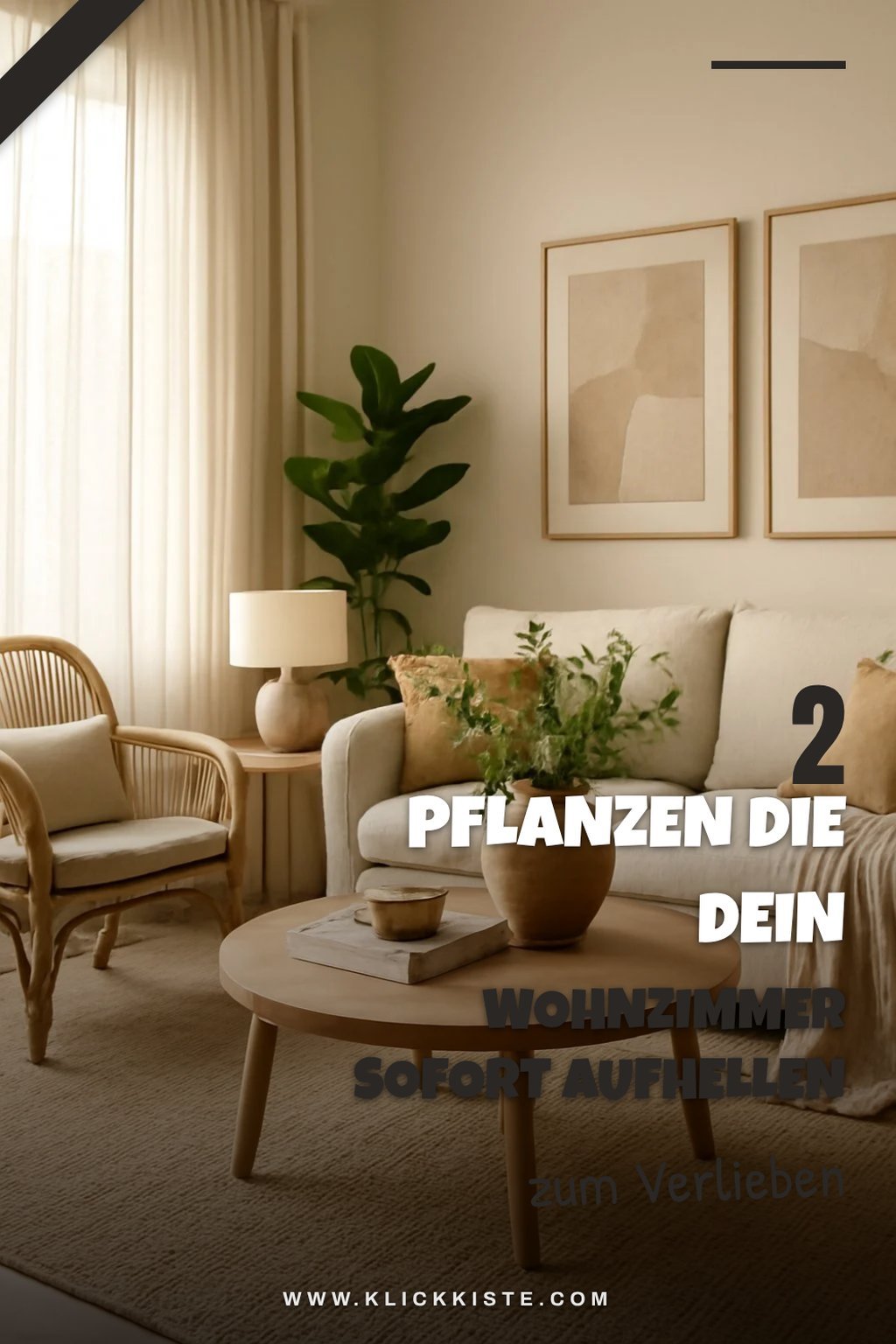 Diese Pflanzen bringen Frische ins Wohnzimmer